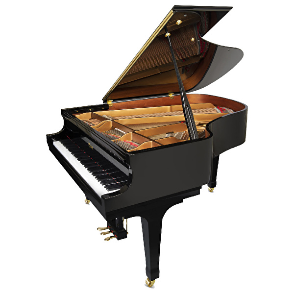 ESSEX EGP-173 C Parlak Siyah 173 CM Kuyruklu Piyano